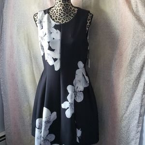 New Calvin Klein black floral dress